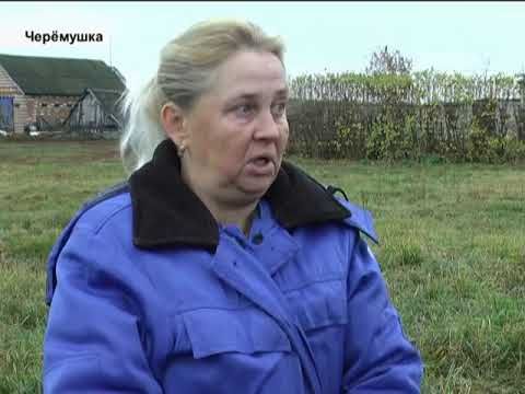 Дорогу в Черёмушке разбивают грузовики. Сюжет из передачи Первомайского ТВ от 02.11.2018