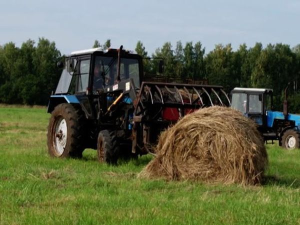 Чайковский - Времена года - Июль