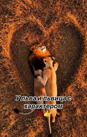 TikTok video #7600691932007861526