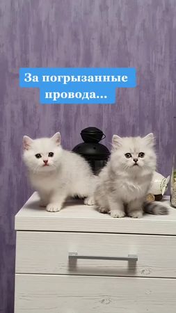 Приговор вынесен... Наказание неизбежно...