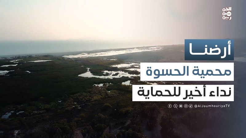 عدن.. والرقصة قبل الأخيرة للفلامنجو! | أرضنا