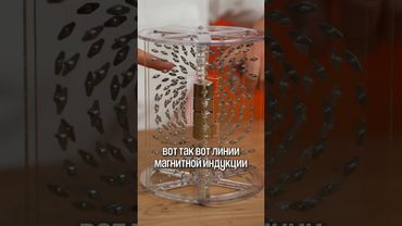 Магнитная индукция #физика