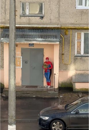 Весна, время выпускать паутину #с8марта #8марта #весна #праздник #рэп #трек 