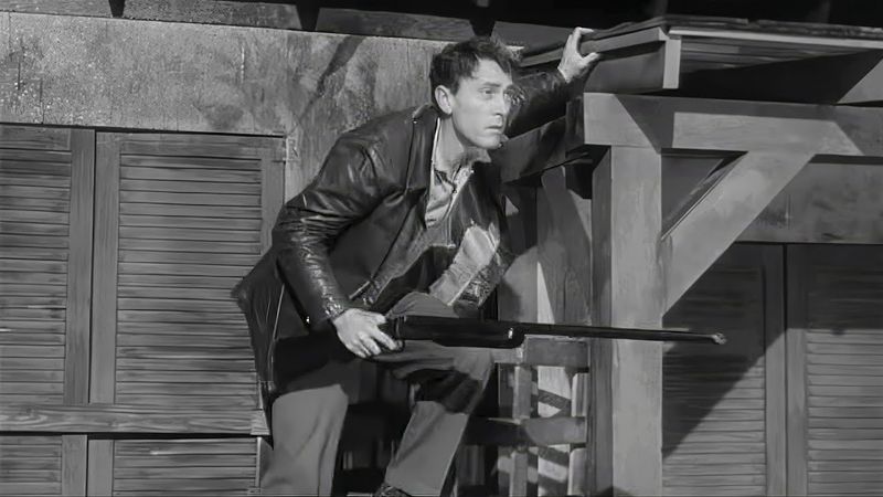 Masterclass B-Movie : The Killer Shrews - Critique du film par Jason Ney