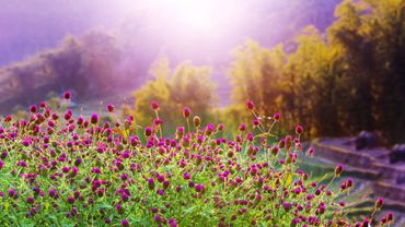 10 Hours of Relaxing Music - Sleep Music, Piano Music for Stress Relief, Sleeping Music (Dylan)