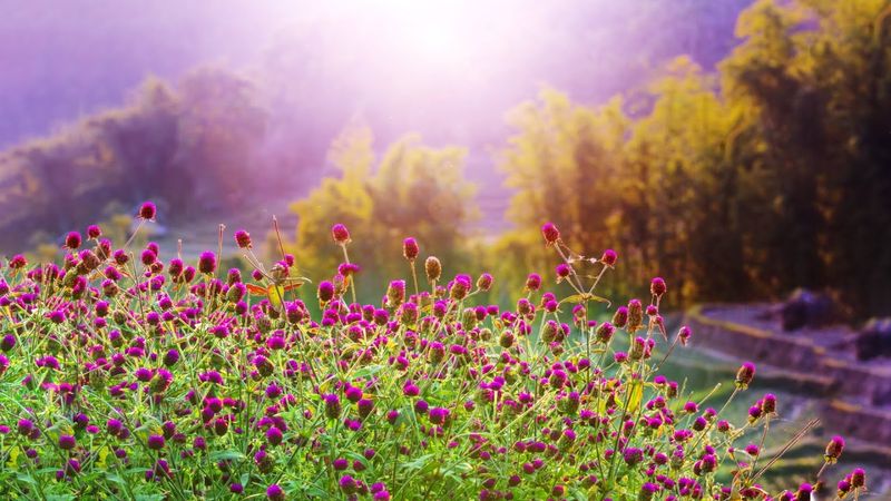 10 Hours of Relaxing Music - Sleep Music, Piano Music for Stress Relief, Sleeping Music (Dylan)