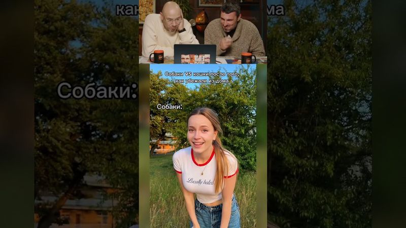 Кошки или собаки? Засмеялся - Подписался ч.101 #смех #юмор #мемы