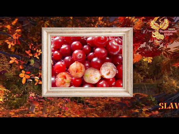 Братья Месяцы. 5 сентября - Лупп Брусничник