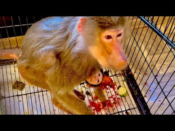 После драки с Люсей Лида поняла что переборщила и стала рваться к подруге)))