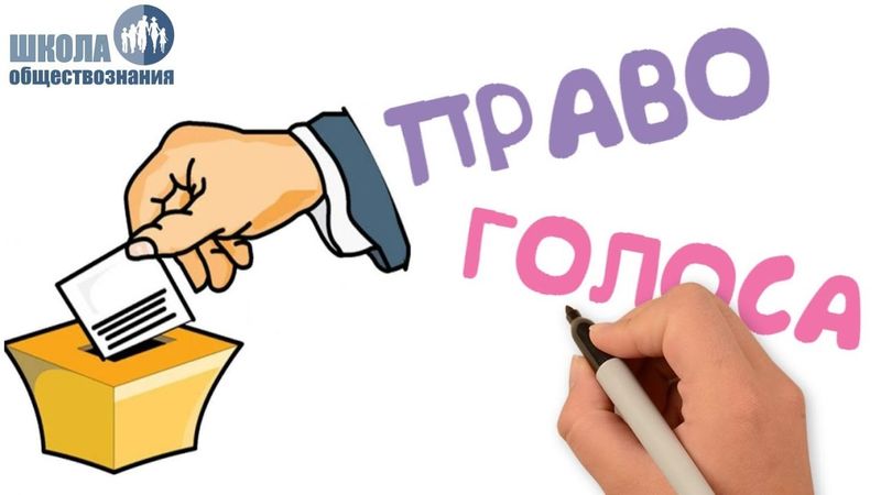 Участие граждан в политической жизни. Выборы и референдум 🎓 Школа обществознания 9 класс
