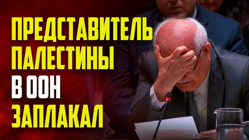 Представитель Палестины в ООН заплакал на заседании Совбеза