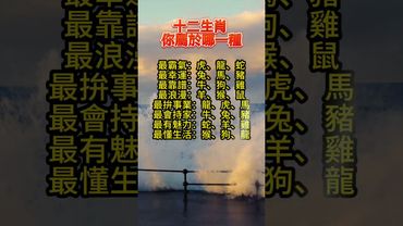 🟡十二生肖 你屬於哪一種？🟡  #運勢 #正能量 #生肖