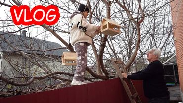 VLOG Алиса и папа поехали в Лондон. Вешаем птичкам кормушки