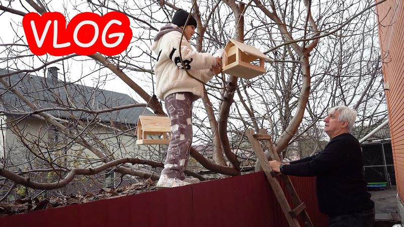 VLOG Алиса и папа поехали в Лондон. Вешаем птичкам кормушки