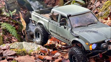 Tennessee crawlin !