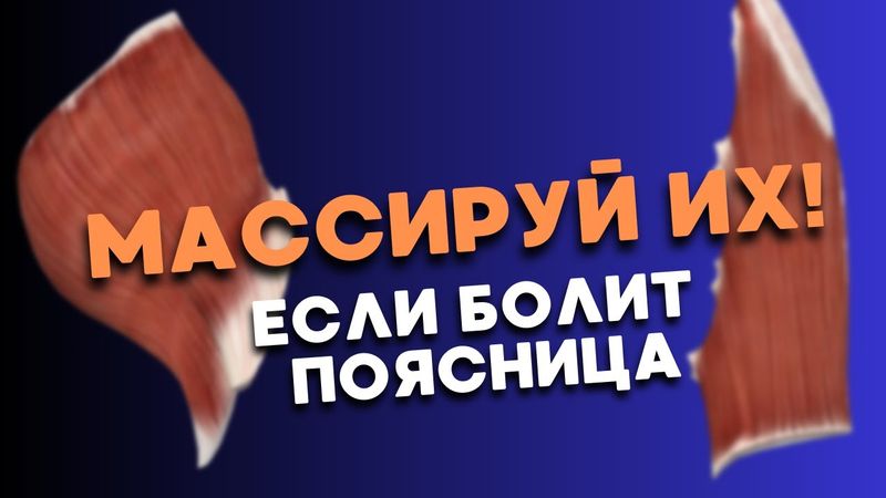 Промассируй эти две мышцы и 40% миофасциальной боли поясницы пройдет