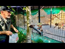 У Лиды расцвела роза и она взяла верх над Люсей, УГРОЖАЕТ ей, но Елисей Люсю ЗАЩИЩАЕТ, а Люся умная)