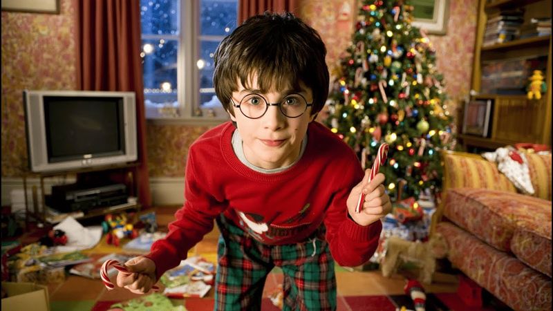 Harry Potter but like HOME ALONE!