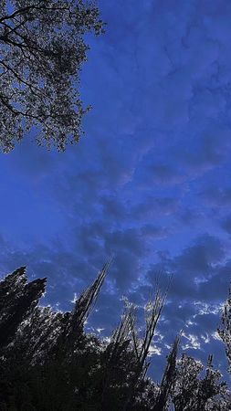 Одно из знамений Конца Света 