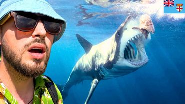 سافرت للغوص مع أخطر قرش (بدون قفص) 🦈 دولة فيجي 🇫🇯