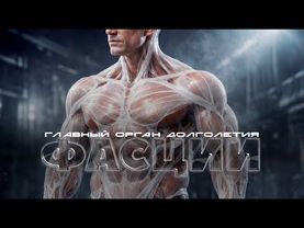 Фасции. Ключ к долголетию и жизни без боли. Научные исследования