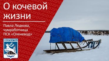 О кочевой жизни