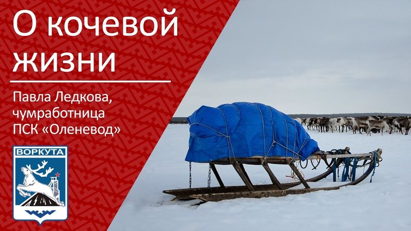 О кочевой жизни