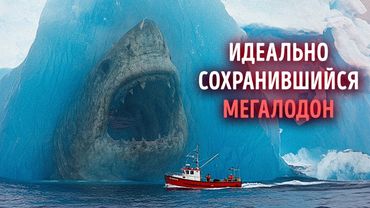 Думаете, мегалодон страшен? Подождите, пока не увидите это