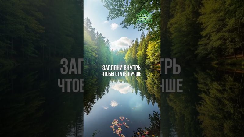 Совет дня - Проводи самоанализ