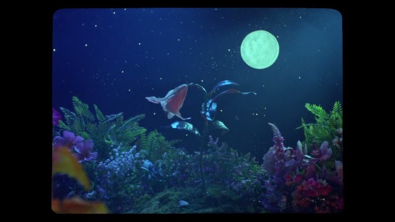 Altered Innocence (2023)