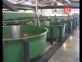 7 апреля 2011 ТВЦ 18.21