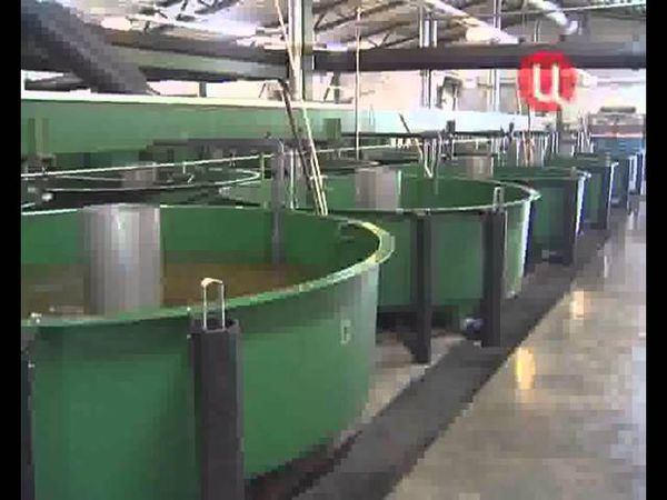 7 апреля 2011 ТВЦ 18.21