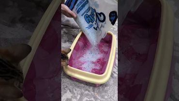 💥 Эти лайфхаки должен знать каждый — финал вынесет мозг 🤯