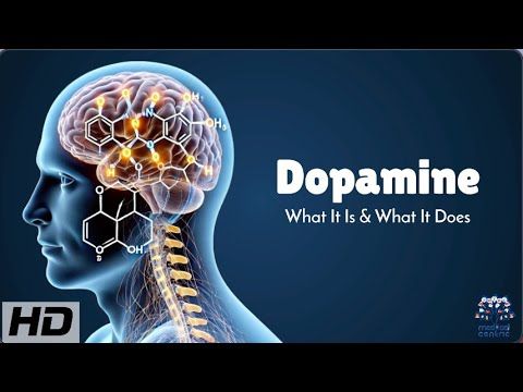 Dopamine Explained: How It Controls Your Brain's Reward System!