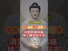 《佛主開口：消業障 解病痛 接了轉發保平安》#生肖 #財運 #運勢 #屬相 #風水 #命理