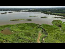 Why did Napoleon drain the Marais d'Orx?