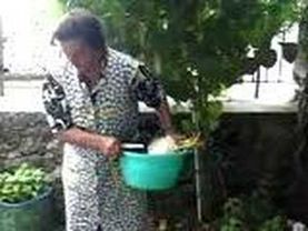 Italy part 3 (the chicken video)