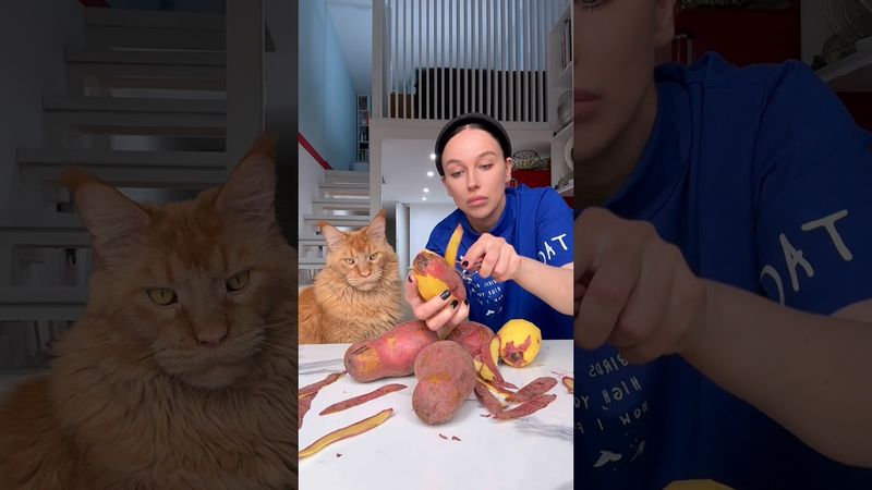 картофельную лазанью пробовали? #готовка #рецепт #еда