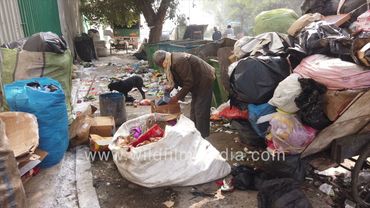 Garbage assembling SDMC Safdarjung Enclave area New Delhi