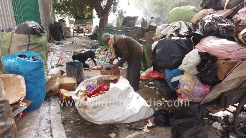 Garbage assembling SDMC Safdarjung Enclave area New Delhi