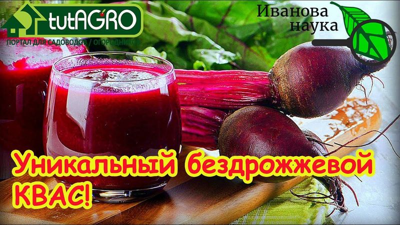ПЬЕМ ИЗ БАНКИ ПЕНИСТЫЙ КВАС. ВКУСНЫЙ ДОМАШНИЙ КВАС ИЗ СВЁКЛЫ.