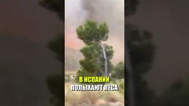 Масштабные лесные пожары вспыхнули в Испании