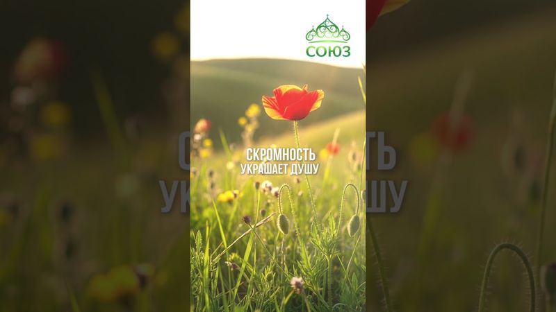 Совет дня: будь смирен перед Богом