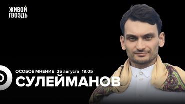 Израиль ликвидирует ХАМАС. Обстановка в Газе. Руслан Сулейманов: Особое мнение / 25.08.25