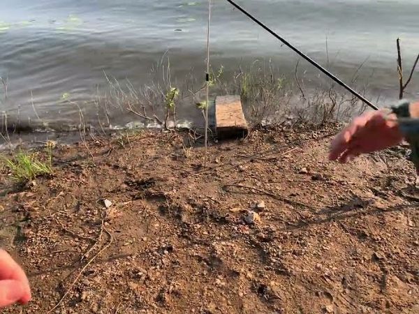 НА БЕРЕГУ У МОРЯ | ОТДЫХ| ФИДЕРНАЯ РЫБАЛКА