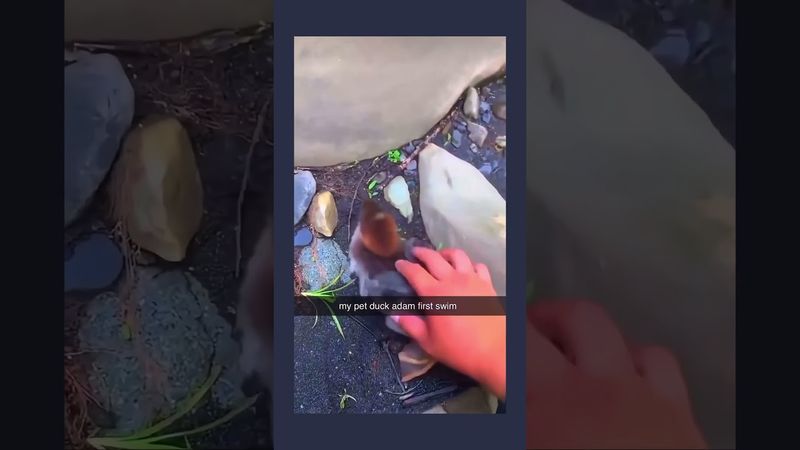 Follow for more inspirations ☺️ #funny #humor #funnyanimals