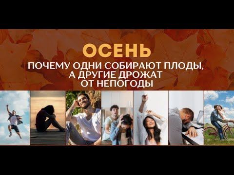 Осень. Почему одни собирают  плоды, а другие лишь дрожат от непогоды!
