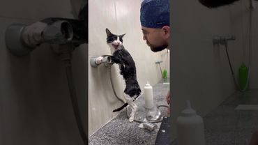 just listen to his voice, meaningful words 🤣