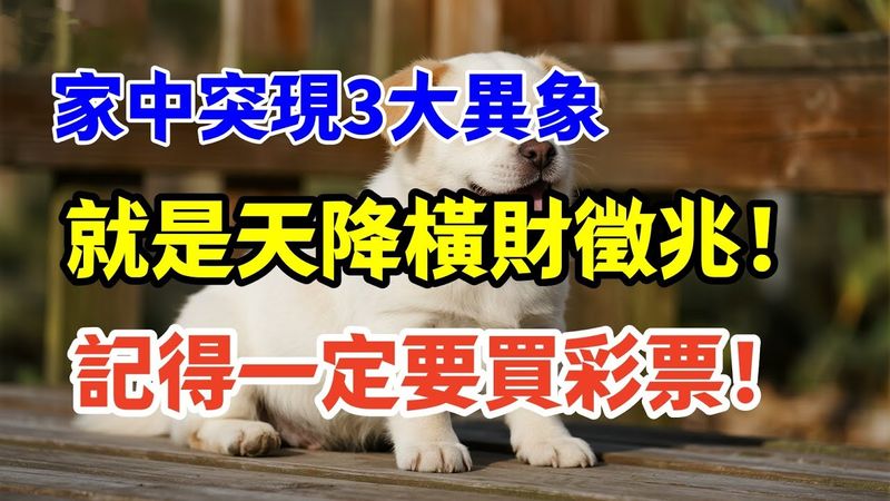 家中突現3大異象，就是天降橫財徵兆！記得一定要買彩票！