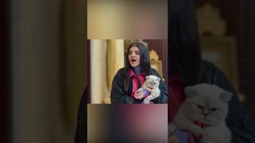 ريما تسحب على عامر بسبب لوسي